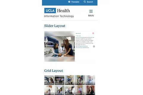 Example of webpage phone view