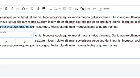 Example of URL field 