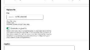Example of adding alternative text for an image on this site