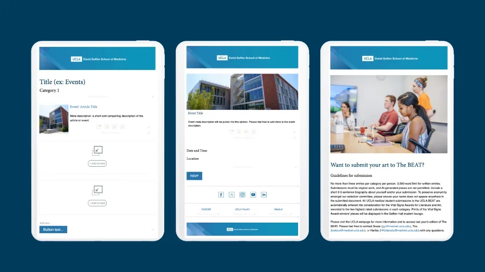 Newsletter template examples