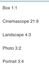 Example of the aspect ratio menu 