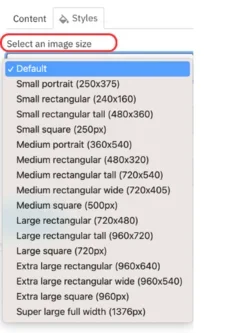 Select an image size from the dropdown