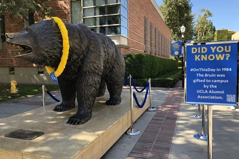 The UCLA Bruin Bear statue with a lei around the bear's neck. A sign next to the bear states "Did You Know? #OnThisDay in 1984, The Bruin was gifted to campus by the UCLA Alumni Association."