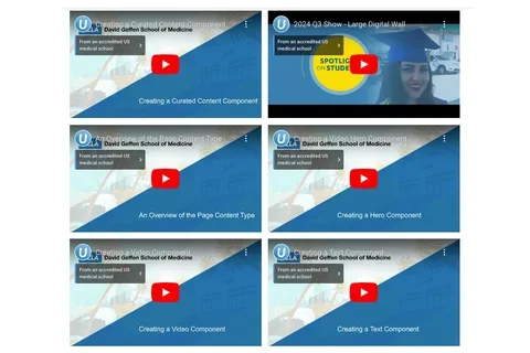 Example of a Video gallery 