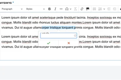 Example of URL field 