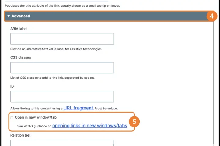 Example of add link widow with advanced options expanded and open in a new window button 