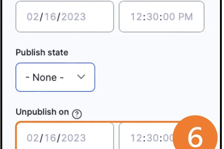 example of the scheduling options panel expected with steps 6 and 7 hi-lighted of unblushing content 