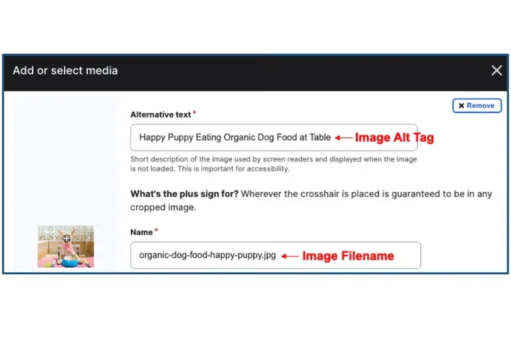 Image Meta Data Example