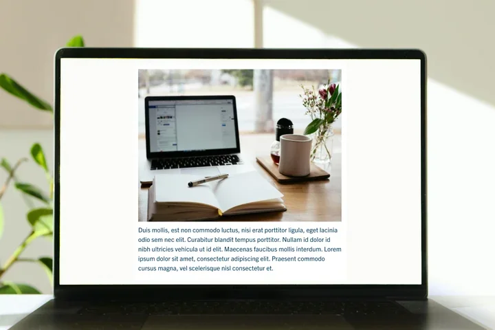 Image caption on a laptop