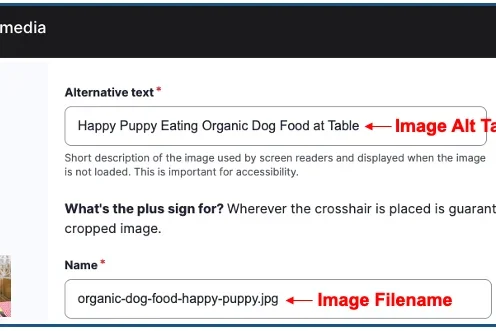 Image Meta Data Example