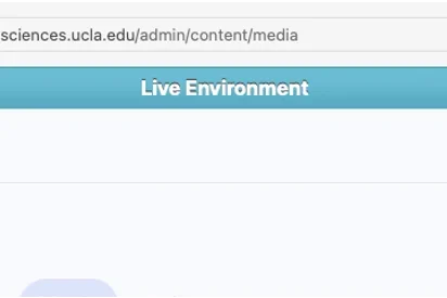 Button selected Add media