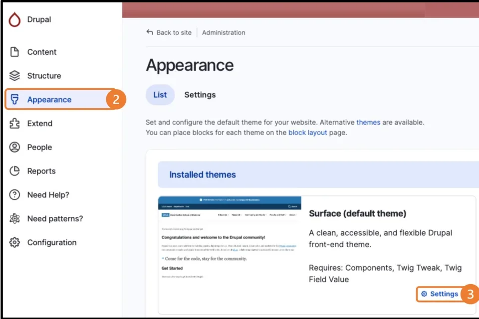 Example of the Appearance and Settings options 