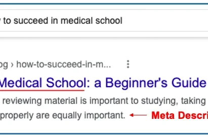 SERP Result_How to Succeed in Medical School