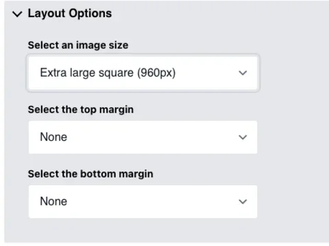 The Expanded Layout Options for the Image Component. With the following dropdown options:  Select an image size, Select the top margin and Select the bottom margin