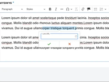 Example of URL field 