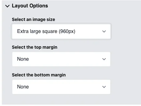 The Expanded Layout Options for the Image Component