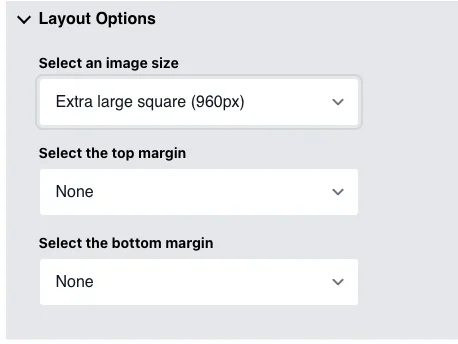 The Expanded Layout Options for the Image Component. With the following dropdown options:  Select an image size, Select the top margin and Select the bottom margin