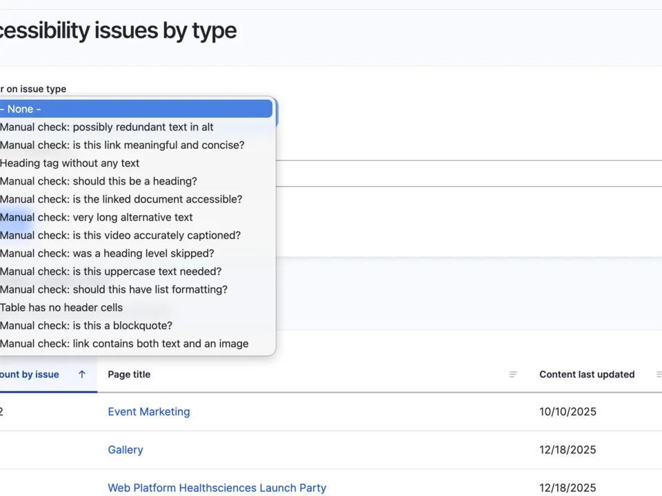 Example of the Accessibility Issues by type page