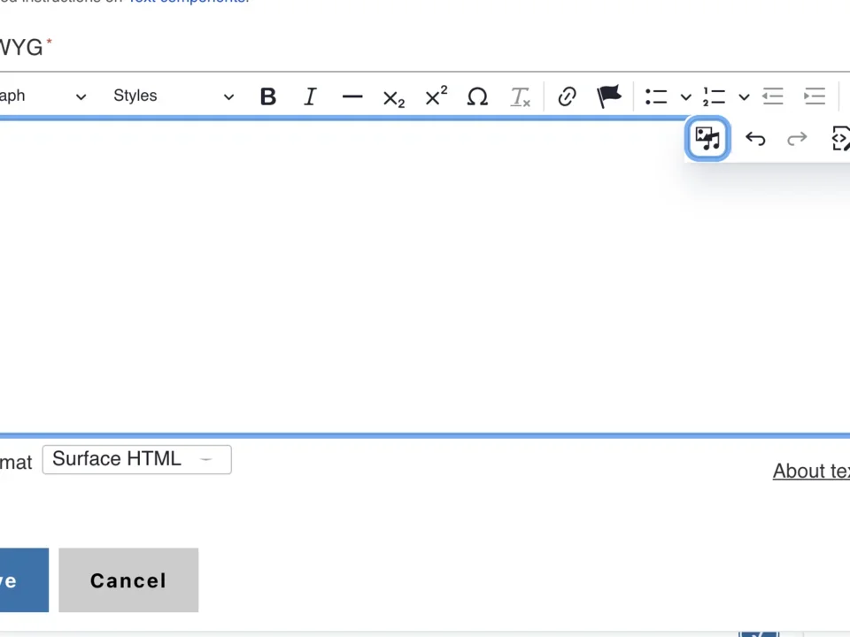 Example of adding media into the text editor