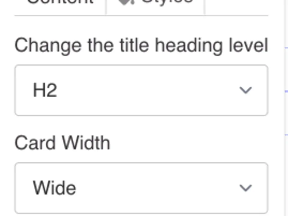 Example of the CTA Card styles