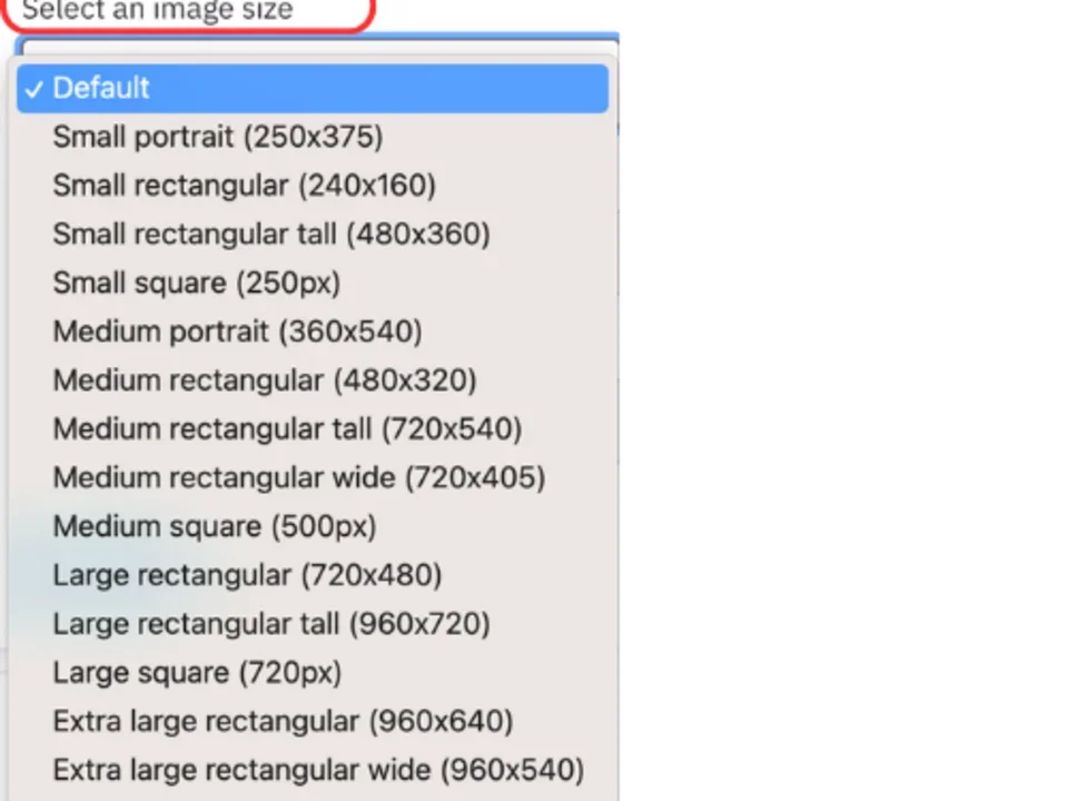 Select an image size from the dropdown