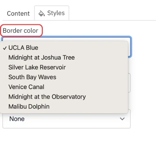 Border color