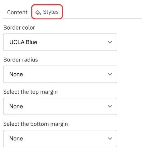 Icon style options