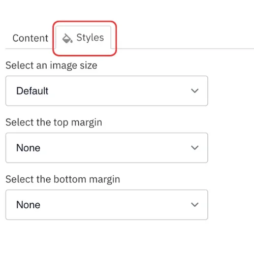 Image styles