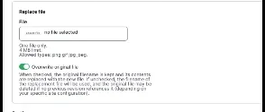 Example of adding alternative text for an image on this site