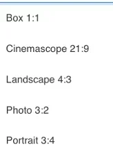 Example of the aspect ratio menu 