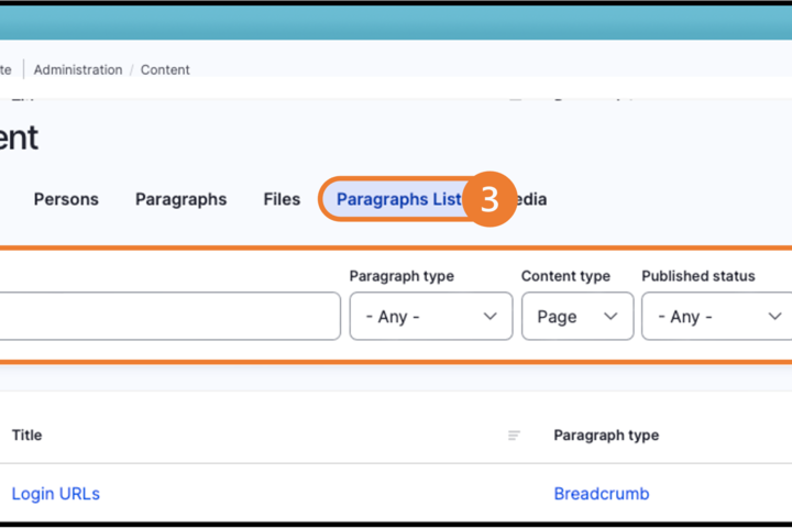 Example of setting configuration for the  Paragraphs List